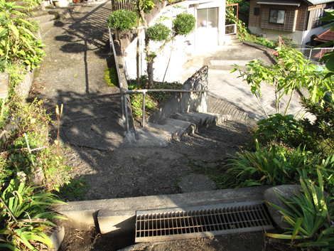 20151116hike (363)